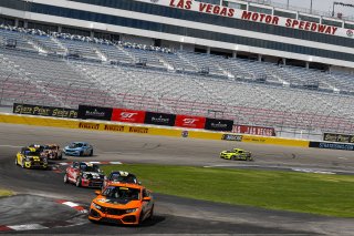 #69 Honda Civic Si of Chris Haldeman  with X-Factor Racing

2019 Blancpain GT World Challenge America - Las Vegas, Las Vegas NV | Gavin Baker/SRO
