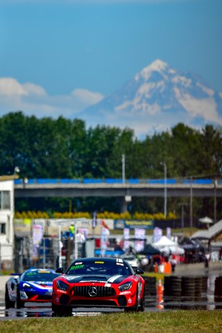 #592 Mercedes-AMG of Mark Ramsey and Alexandre Premat 

Rose Cup Races, Portland OR | Gavin Baker/SRO
