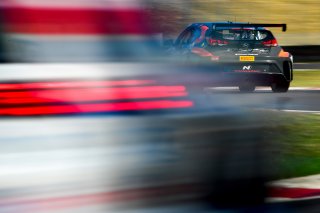 #12 Hyundai Veloster N TCR of Mason Filippi  

Rose Cup Races, Portland OR | Gavin Baker/SRO

