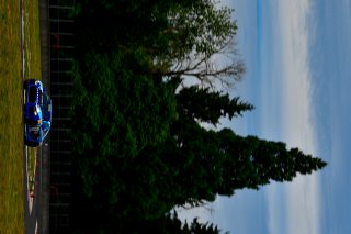 #91 Audi R8 LMS GT4 of Jeff Burton Vesko Kozarov 

Rose Cup Races, Portland OR | Gavin Baker/SRO
