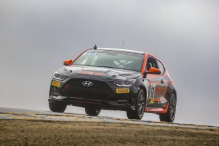 #50 Hyundai Veloster Turbo of Luke Lange, Copeland Motorsports, TCA, SRO America, Sonoma Raceway, Sonoma CA, Aug 2020.
 | Brian Cleary/SRO
