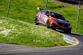 #9 Honda Civic Type-R of Kevin Boehm, DXDT Racing, TC, TC America, SRO America Sonoma Raceway, Sonoma, CA, March 2021.   | Brian Cleary/BCPix.com