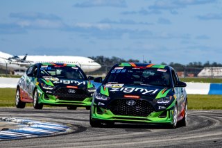 #33 Hyundai Veloster Turbo TCA of Luke Rumburg, Forbush Performance, TCA, TC America, SRO America, Sebring International Raceway, Sebring, FL, September 2021.
 | Brian Cleary/SRO