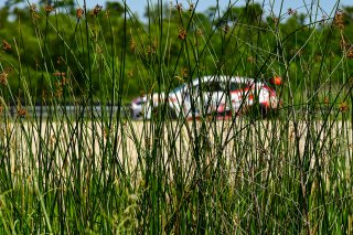 #780 Hyundai Veloster N DCT TC (2021 - ) of GenRacer, driven by Sally McNulty, TC SRO America, NOLA Motorsport Park, Avondale, New Orlean, April 2023
 | ©Copyright: Frederick Hardy II 2023

All rights reserved. No Usage Without Permission