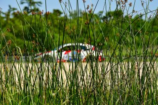 #73 Honda Civic Type-R TCX of LA Honda World Racing, driven by Kyle Loh, SRO America, NOLA Motorsport Park, Avondale, New Orlean, April 2023
 | ©Copyright: Frederick Hardy II 2023

All rights reserved. No Usage Without Permission