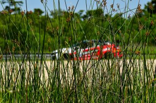 #7 Honda Civic Type-R (2017 - ) of Skip Barber Racing School, driven by Celso Neto, TC SRO America, NOLA Motorsport Park, Avondale, New Orlean, April 2023
 | ©Copyright: Frederick Hardy II 2023

All rights reserved. No Usage Without Permission