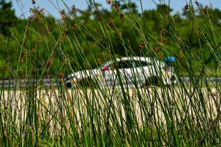 #11 Honda Civic Type-R (2017 - ) of DRS, Kris Valdez driven by, TC SRO America, NOLA Motorsport Park, Avondale, New Orlean, April 2023
 | ©Copyright: Frederick Hardy II 2023

All rights reserved. No Usage Without Permission