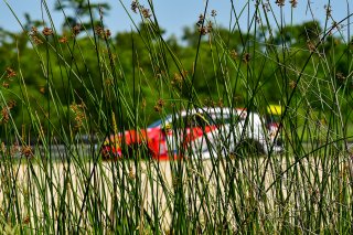 #8 Honda Civic Type-R (2017 - ) of VGRT, driven by Michael Hurczyn, TC SRO America, NOLA Motorsport Park, Avondale, New Orlean, April 2023
 | ©Copyright: Frederick Hardy II 2023

All rights reserved. No Usage Without Permission
