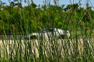 #22 Subaru BRZ  of TechSport Racing, driven by Devin Anderson SRO America, NOLA Motorsport Park, Avondale, New Orlean, April 2023
 | ©Copyright: Frederick Hardy II 2023

All rights reserved. No Usage Without Permission