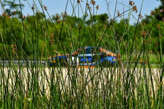 SRO America, NOLA Motorsport Park, Avondale, New Orlean, April 2023
 | ©Copyright: Frederick Hardy II 2023

All rights reserved. No Usage Without Permission