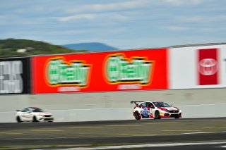 #73 Honda Civic Type-R TCX of LA Honda World Racing, driven by Kyle Loh, SRO America, Sonoma Raceway, Sonoma California, April 2023
 | &copy;Copyright: Frederick Hardy II 2023

All rights reserved. No Usage Without Permission