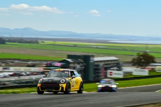 #63 Mini JCW (2019 - ) of MINI JCW Team, driven by Landon Lewis, TCA SRO America, Sonoma Raceway, Sonoma California, April 2023
 | &copy;Copyright: Frederick Hardy II 2023

All rights reserved. No Usage Without Permission