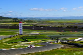 #73 Honda Civic Type-R TCX of LA Honda World Racing, driven by Kyle Loh, SRO America, Sonoma Raceway, Sonoma California, April 2023
 | &copy;Copyright: Frederick Hardy II 2023

All rights reserved. No Usage Without Permission