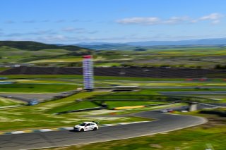 #11 Honda Civic Type-R (2017 - ) of DRS, Kris Valdez driven by, TC SRO America, Sonoma Raceway, Sonoma California, April 2023
 | ©Copyright: Frederick Hardy II 2023

All rights reserved. No Usage Without Permission