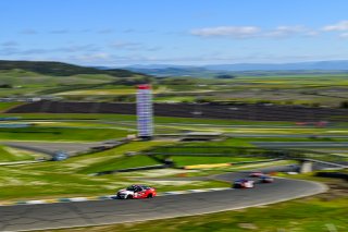 #77 Honda Civic Si FE1 of Skip Barber Racing School, driven by William Lambros, TCA SRO America, Sonoma Raceway, Sonoma California, April 2023
 | ©Copyright: Frederick Hardy II 2023

All rights reserved. No Usage Without Permission
