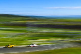 #73 Honda Civic Type-R TCX of LA Honda World Racing, driven by Kyle Loh, SRO America, Sonoma Raceway, Sonoma California, April 2023
 | ©Copyright: Frederick Hardy II 2023

All rights reserved. No Usage Without Permission
