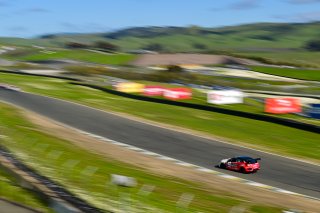 #7 Honda Civic Type-R (2017 - ) of Skip Barber Racing School, driven by Celso Neto, TC SRO America, Sonoma Raceway, Sonoma California, April 2023
 | ©Copyright: Frederick Hardy II 2023

All rights reserved. No Usage Without Permission