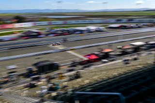 #73 Honda Civic Type-R TCX of LA Honda World Racing, driven by Kyle Loh, SRO America, Sonoma Raceway, Sonoma California, April 2023
 | ©Copyright: Frederick Hardy II 2023

All rights reserved. No Usage Without Permission