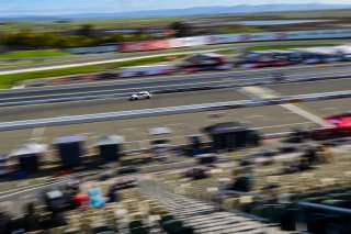#11 Honda Civic Type-R (2017 - ) of DRS, Kris Valdez driven by, TC SRO America, Sonoma Raceway, Sonoma California, April 2023
 | ©Copyright: Frederick Hardy II 2023

All rights reserved. No Usage Without Permission