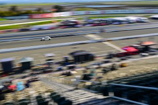 #93 Honda Civic Type-R TCX of Ian Lacy Racing, driven by Christopher DeFreitas, TCX SRO America, Sonoma Raceway, Sonoma California, April 2023
 | ©Copyright: Frederick Hardy II 2023

All rights reserved. No Usage Without Permission