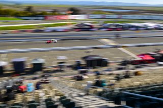 #88 Honda Civic Si FE1 of VGRT, driven by Ruben Iglesias Jr., TCA SRO America, Sonoma Raceway, Sonoma California, April 2023
 | ©Copyright: Frederick Hardy II 2023

All rights reserved. No Usage Without Permission