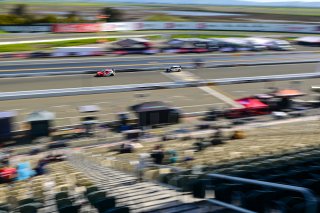 #8 Honda Civic Type-R (2017 - ) of VGRT, driven by Michael Hurczyn, TC SRO America, Sonoma Raceway, Sonoma California, April 2023
 | ©Copyright: Frederick Hardy II 2023

All rights reserved. No Usage Without Permission