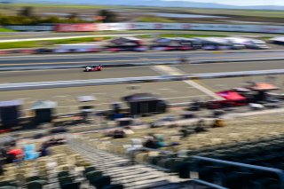 #7 Honda Civic Type-R (2017 - ) of Skip Barber Racing School, driven by Celso Neto, TC SRO America, Sonoma Raceway, Sonoma California, April 2023
 | ©Copyright: Frederick Hardy II 2023

All rights reserved. No Usage Without Permission