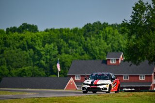 #77 Honda Civic Si FE1 of Skip Barber Racing School, driven by William Lambros, TCA SRO America, Virginia International Raceway, Alton, Virginia, June 2023
 | ©Copyright: Frederick Hardy II / SRO 2023/  

All rights reserved. No Usage Without Permission