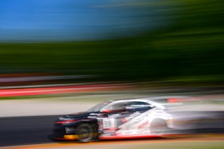 #99 Honda Civic Type-R TCX of VGRT, driven by Daijiro Yoshihara, TCX Road America, Aug. 17-20 2023 SRO
 | ©Copyright: Frederick Hardy II 2023

All rights reserved. No Usage Without Permission