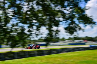 Florida, SRO America, Sebring, Sebring International Raceway, September 2023
 | ©Copyright: Frederick Hardy II / SRO 2023/  

All rights reserved. No Usage Without Permission