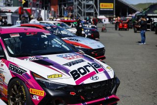 April 2024 TC Grid, SRO TC America, Sonoma California, Sonoma Raceway
 | MotorSportMedia | Halston Pitman 2021 - All Rights Reserved
