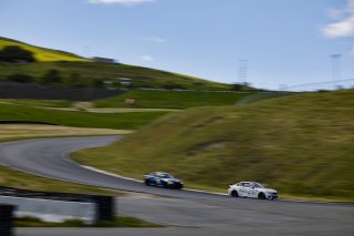 April 2024 #17 BMW M2 CS(Cup) of Lucas Catania, Rigid Speed, SRO TC America, Sonoma California, Sonoma Raceway, TC America presented by Skip Barber, TCX
 | MotorSportMedia | Halston Pitman 2021 - All Rights Reserved