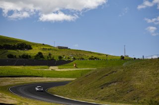 April 2024 #39 Acura Integra Type S of Chris DeFreitas, Racers Edge Motorsports, SRO TC America, Sonoma California, Sonoma Raceway, TC America presented by Skip Barber, TCX
 | MotorSportMedia | Halston Pitman 2021 - All Rights Reserved