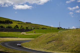 April 2024 #77 Hyundai Elantra N1 TC Pro of Jeff Ricca, Ricca Autosport, SRO TC America, Sonoma California, Sonoma Raceway, TC, TC America presented by Skip Barber
 | MotorSportMedia | Halston Pitman 2021 - All Rights Reserved