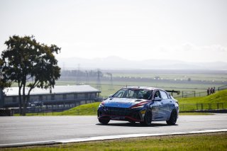 April 2024 #77 Hyundai Elantra N1 TC Pro of Ruben Iglesias Jr, Ricca Autosport, SRO TC America, Sonoma California, Sonoma Raceway, TC, TC America presented by Skip Barber
 | MotorSportMedia | Halston Pitman 2021 - All Rights Reserved