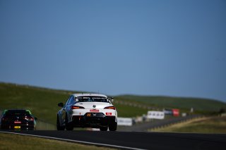 April 2024 #22 Acura Integra Type S of Celso Neto, SRO TC America, Skip Barber Racing, Sonoma California, Sonoma Raceway, TC America presented by Skip Barber, TCX
 | MotorSportMedia | Halston Pitman 2021 - All Rights Reserved