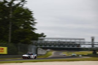 Ricca Autosport, TC, TC America presented by Skip Barber, TC America presented by Skip Barber; Barber Motorsports Park; Leeds; AL September 6-8 2024;#78 Hyundai Elantra N1 TC Pro of Jeff Ricca
 | MotorSportMedia | Halston Pitman 2021 - All Rights Reserved