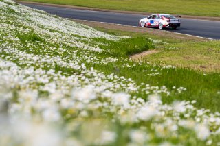 #78 Hyundai Elantra N1 TC of Jeff Ricca, Ricca Autosport, TC America Powered by Skip Barber Racing School, Sonoma Raceway, Sonoma, CA, March 28-30, 2025.
 | SRO Motorsports Group