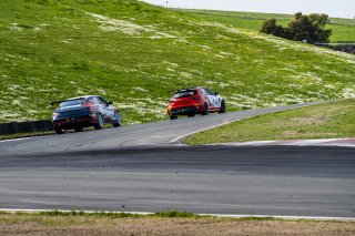 #75 Hyundai Elantra N1 TC EVO of Antonio Abrom, Ricca Autosport, TC America Powered by Skip Barber Racing School, Sonoma Raceway, Sonoma, CA, March 28-30, 2025.
 | SRO Motorsports Group