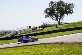 #77 Hyundai Elantra N1 TC EVO of (TBD), Ricca Autosport, TC America Powered by Skip Barber Racing School, Sonoma Raceway, Sonoma, CA, March 28-30, 2025.
 | SRO Motorsports Group