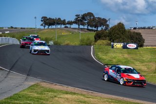 #77 Hyundai Elantra N1 TC EVO of (TBD), Ricca Autosport, TC America Powered by Skip Barber Racing School, Sonoma Raceway, Sonoma, CA, March 28-30, 2025.
 | SRO Motorsports Group