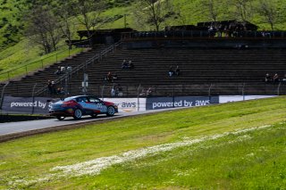 #77 Hyundai Elantra N1 TC EVO of (TBD), Ricca Autosport, TC America Powered by Skip Barber Racing School, Sonoma Raceway, Sonoma, CA, March 28-30, 2025.
 | SRO Motorsports Group