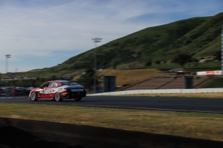#77 Hyundai Elantra N1 TC EVO of Andre Castro, Ricca Autosport, TC America, TC, SRO America, Sonoma Raceway, Sonoma, CA, Mar 26 - 28, 2026
 | SRO Motorsports Group