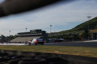 #8 Hyundai Elantra N1 TC EVO/VO of Justin Gravett, Ricca Autosport, TC America, TC, SRO America, Sonoma Raceway, Sonoma, CA, Mar 26 - 28, 2026
 | SRO Motorsports Group