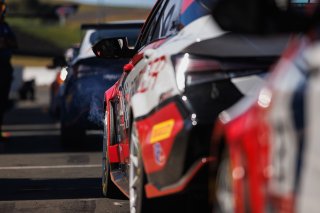 #77 Hyundai Elantra N1 TC EVO of Andre Castro, Ricca Autosport, TC America, TC, SRO America, Sonoma Raceway, Sonoma, CA, Mar 26 - 28, 2026
 | Andrew Miterko Photography LLC &copy;2026