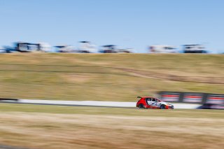 #3 Toyota GR Corolla TC of Jesse Dorkin, JMF Motorsports, TC America, TC, SRO America, Sonoma Raceway, Sonoma, CA, Mar 26 - 28, 2026
 | Andrew Miterko Photography LLC &copy;2026
