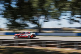 #77 Hyundai Elantra N1 TC EVO of Andre Castro, Ricca Autosport, TC America, TC, SRO America, Sebring International Raceway, Sebring, FL, May 7 - 10, 2026
 | Andrew Miterko Photography LLC &copy;2026