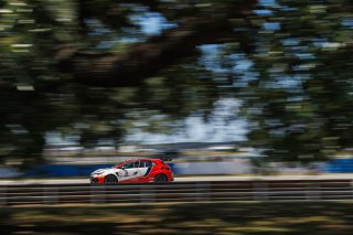 #3 Toyota GR Corolla TC of Jesse Dorkin, JMF Motorsport, TC America, TC, SRO America, Sebring International Raceway, Sebring, FL, May 7 - 10, 2026
 | Andrew Miterko Photography LLC &copy;2026