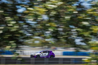 #4 Toyota GR Corolla TC of Braydon Arthur, JMF Motorsport, TC America, TC, SRO America, Sebring International Raceway, Sebring, FL, May 7 - 10, 2026
 | Andrew Miterko Photography LLC &copy;2026