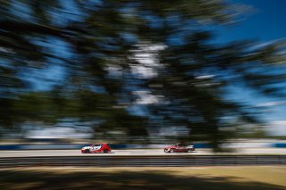 #77 Hyundai Elantra N1 TC EVO of Andre Castro, Ricca Autosport, TC America, TC, SRO America, Sebring International Raceway, Sebring, FL, May 7 - 10, 2026
 | Andrew Miterko Photography LLC &copy;2026